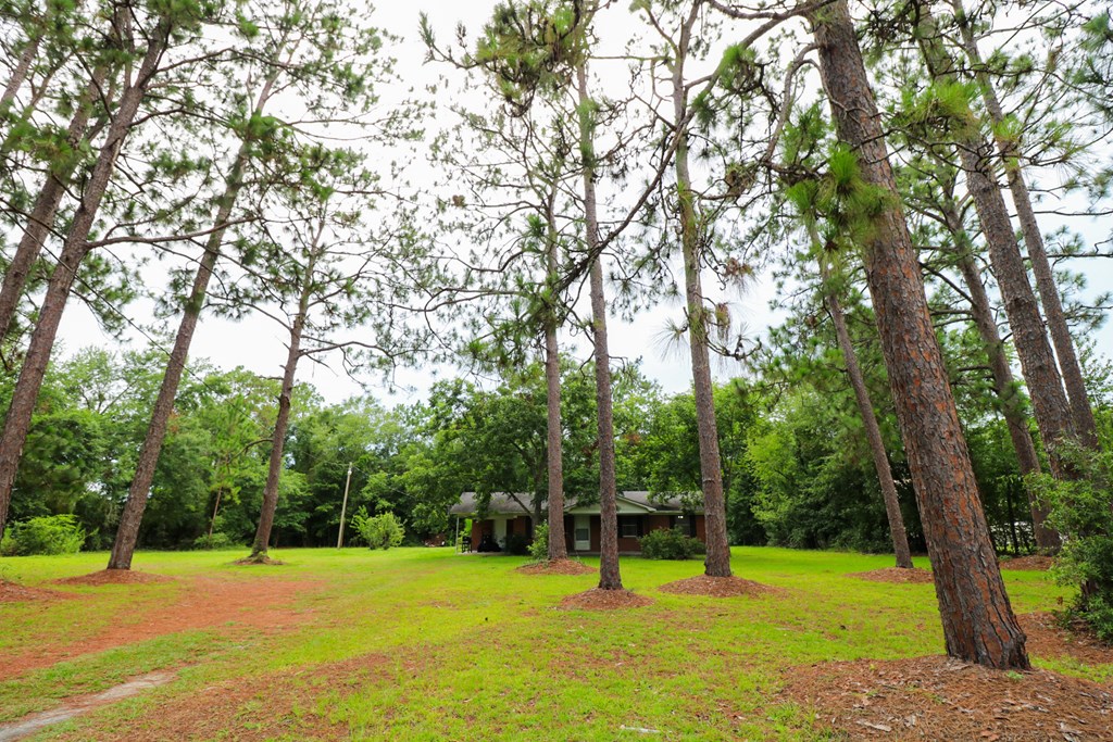 Our Properties Coldwell Banker Brock Realty